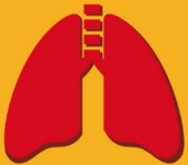 Biểu tượng Respiratory System, OLM, Tin 9 CTST