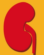 Biểu tượng Excretor System, OLM, Tin 9 CTST