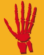 Biểu tượng Skeletal System, OLM, Tin 9 CTST